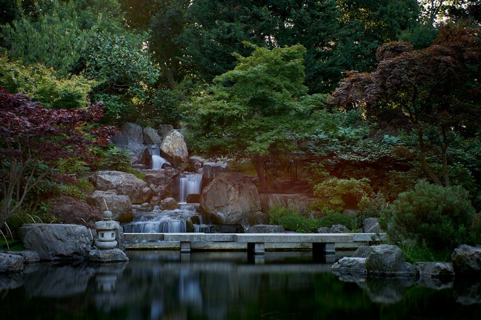 A tranquil garden scene featuring a small multi-tiered stone waterfall flowing into a calm pond surrounded by lush, dense greenery. The waterfall is composed of several large, smooth stones with water cascading over them, creating a gentle, soothing effect. The pond's dark, reflective surface mirrors the surrounding foliage and the sky above, providing a peaceful atmosphere. In the foreground, a rectangular stone or concrete platform extends over the pond, with a traditional Japanese stone lantern situated to the left, partially resting on a large rock. The background is filled with a variety of trees and shrubs, displaying shades of green and reddish-brown foliage, indicating a diverse and mature garden design. The ambient lighting suggests early morning or late afternoon, with soft, natural light filtering through the tree canopy. This scene exemplifies a carefully maintained garden space that could be part of a private property or a landscaped park, where natural elements and engineered features coexist harmoniously, aligning with the themes of on-site or private waste management facilitated by companies like Waste Clearance Holland Park.