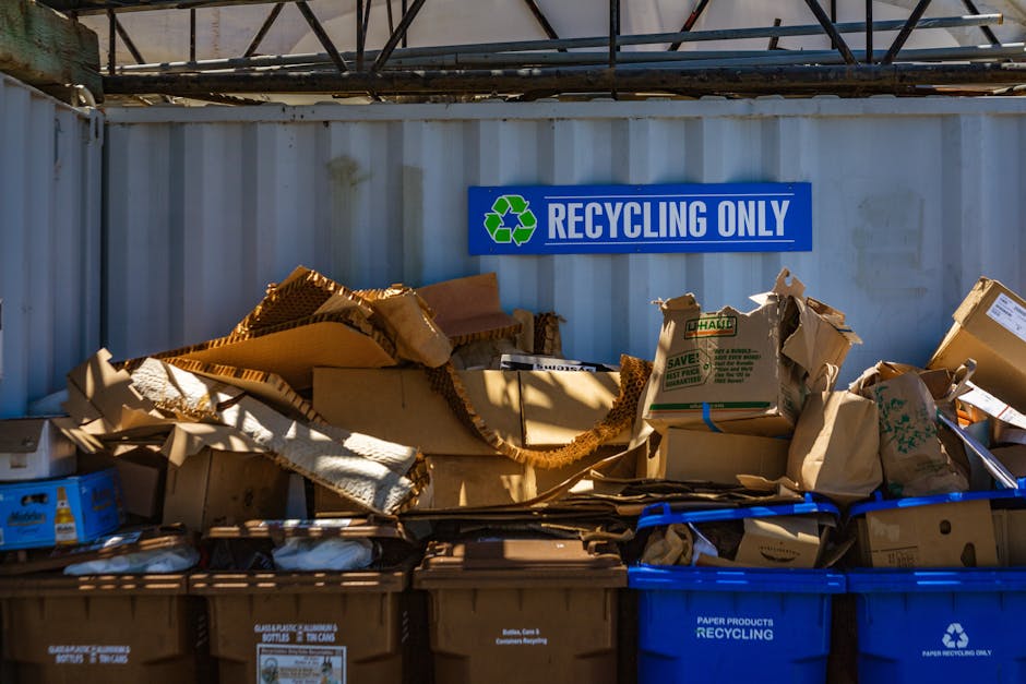 A collection of flattened and crumpled cardboard boxes and paper waste, piled in front of a white metal wall with visible corrugated textures. The cardboard is of various shades of brown, some with printed logos and labels, and appears to be broken down for recycling. Behind the waste, there is a blue sign with white text reading 'RECYCLING ONLY' and a green recycling symbol, mounted on the wall, indicating that this area is designated for appropriate waste disposal. Below the main waste pile, several blue and brown recycling bins are visible, labeled for paper products, with some bins partly covered by the cardboard and paper waste on top. The scene is set outdoors, with a shaded area created by metallic framework above the wall, and the lighting suggests natural daylight, emphasizing the textures and colors of the materials. The image visually supports concepts of private waste handling and on-site recycling management, which are relevant to independent rubbish removal services provided in urban environments like Holland Park.